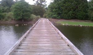 Bridge over placid lake