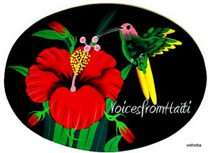 VoicesfromHaiti's Hummingbird