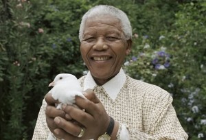 mandela peace dove