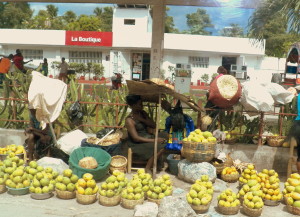 machann mango an ayiti