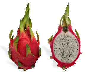 dragon fruit